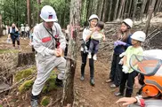 「アクティオの森2025」で、社員が森林整備のための間伐作業を体験