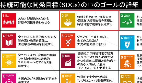 持続可能な開発目標（SDGs）の17のゴール詳細