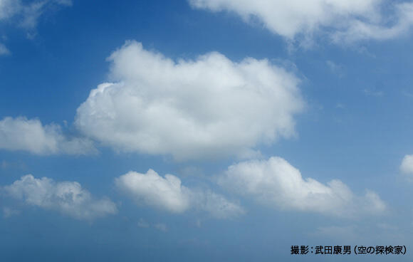 にゅうどう雲に成長する可能性がある「わた雲（積雲）」
