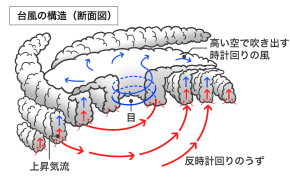 台風の構造