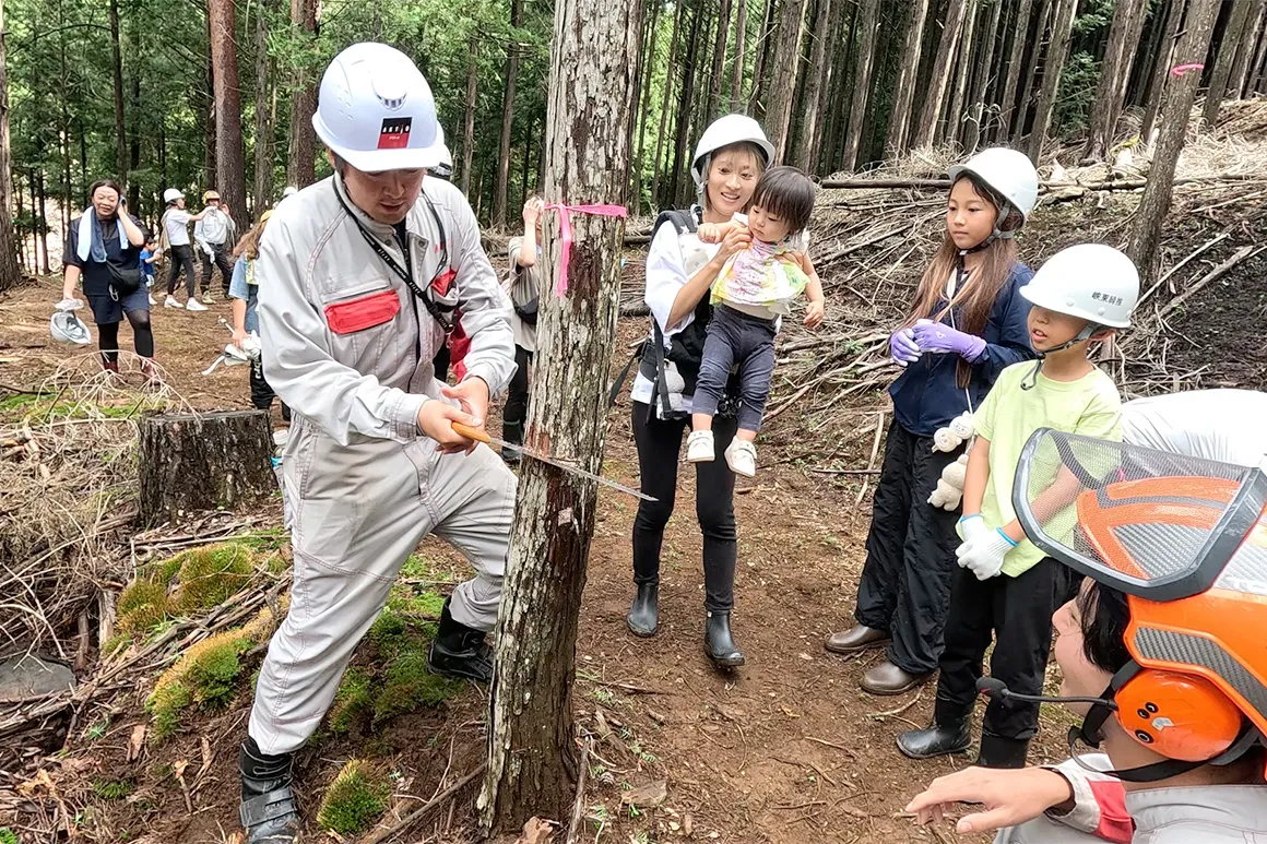 「アクティオの森2025」で、社員が森林整備のための間伐作業を体験
